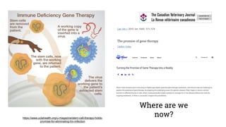 Where are we
now?
https://www.uclahealth.org/u-magazine/stem-cell-therapy-holds-
promise-for-eliminating-hiv-infection
 