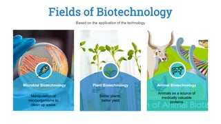 Fields of Biotechnology
Manipulation of
microorganisms to
clean up waste
Microbial Biotechnology
Better plants,
better yield
Plant Biotechnology
Animals as a source of
medically valuable
proteins
Animal Biotechnology
Based on the application of the technology
 