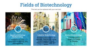 Fields of Biotechnology
This text can be replaced with your own text
Resistance to pest,
conservation of diversity, and
bioprospecting
Aquatic and Ecology
Biotechnology
Processing and production of
chemicals, materials and energy
using enzymes and micro-
organisms to make products in
sectors
Industrial Biotechnology
Enhancement of
health and combat
of diseases
Medical Biotechnology
 