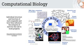 Computational Biology
Individual structure
and function of
each organelle and
how they influence
the integrity of
each for the cell to
work properly
https://copib.wordpress.com/2012/07/2
4/collaborative-biology-and-computati
onal-biology/
 