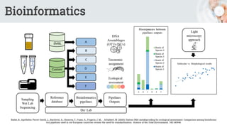 Bioinformatics
Bailet, B., Apothéloz-Perret-Gentil, L., Baričević, A., Chonova, T., Franc, A., Frigerio, J. M., ... & Kahlert, M. (2020). Diatom DNA metabarcoding for ecological assessment: Comparison among bioinforma
tics pipelines used in six European countries reveals the need for standardization. Science of the Total Environment, 745, 140948.
 