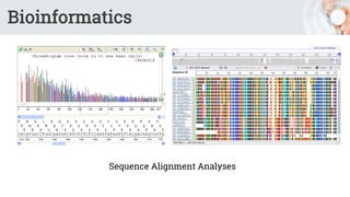 Bioinformatics
Sequence Alignment Analyses
 