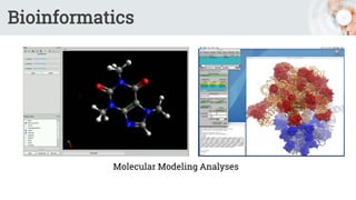 Bioinformatics
Molecular Modeling Analyses
 