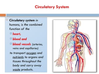 Circulatory System
 Circulatory system in
humans, is the combined
function of the
 heart,
 blood and
 blood vessels (arteries,
veins and capillaries)
to transport oxygen and
nutrients to organs and
tissues throughout the
body and carry away
waste products.
 