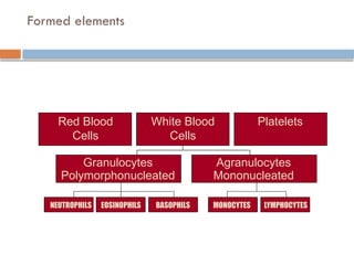 Formed elements
NEUTROPHILS
Red Blood
Cells
White Blood
Cells
Platelets
Granulocytes
Polymorphonucleated
EOSINOPHILS BASOPHILS MONOCYTES LYMPHOCYTES
Agranulocytes
Mononucleated
 
