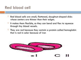 Red blood cell
 Red blood cells are small, flattened, doughnut-shaped disks
whose centers are thinner than their edges.
 It makes them flexible, so they can bend and flex to squeeze
through tiny blood vessels.
 They are red because they contain a protein called hemoglobin
that is red in color because of iron
 