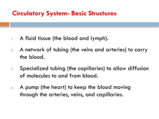 Circulatory System- Basic Structures
1. A fluid tissue (the blood and lymph).
2. A network of tubing (the veins and arteries) to carry
the blood.
3. Specialized tubing (the capillaries) to allow diffusion
of molecules to and from blood.
4. A pump (the heart) to keep the blood moving
through the arteries, veins, and capillaries.
 