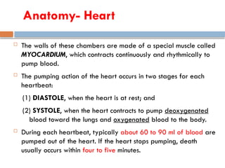  The walls of these chambers are made of a special muscle called
MYOCARDIUM, which contracts continuously and rhythmically to
pump blood.
 The pumping action of the heart occurs in two stages for each
heartbeat:
(1) DIASTOLE, when the heart is at rest; and
(2) SYSTOLE, when the heart contracts to pump deoxygenated
blood toward the lungs and oxygenated blood to the body.
 During each heartbeat, typically about 60 to 90 ml of blood are
pumped out of the heart. If the heart stops pumping, death
usually occurs within four to five minutes.
Anatomy- Heart
 