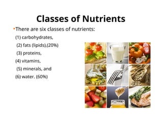 Classes of Nutrients
There are six classes of nutrients:
(1) carbohydrates,
(2) fats (lipids),(20%)
(3) proteins,
(4) vitamins,
(5) minerals, and
(6) water. (60%)
 