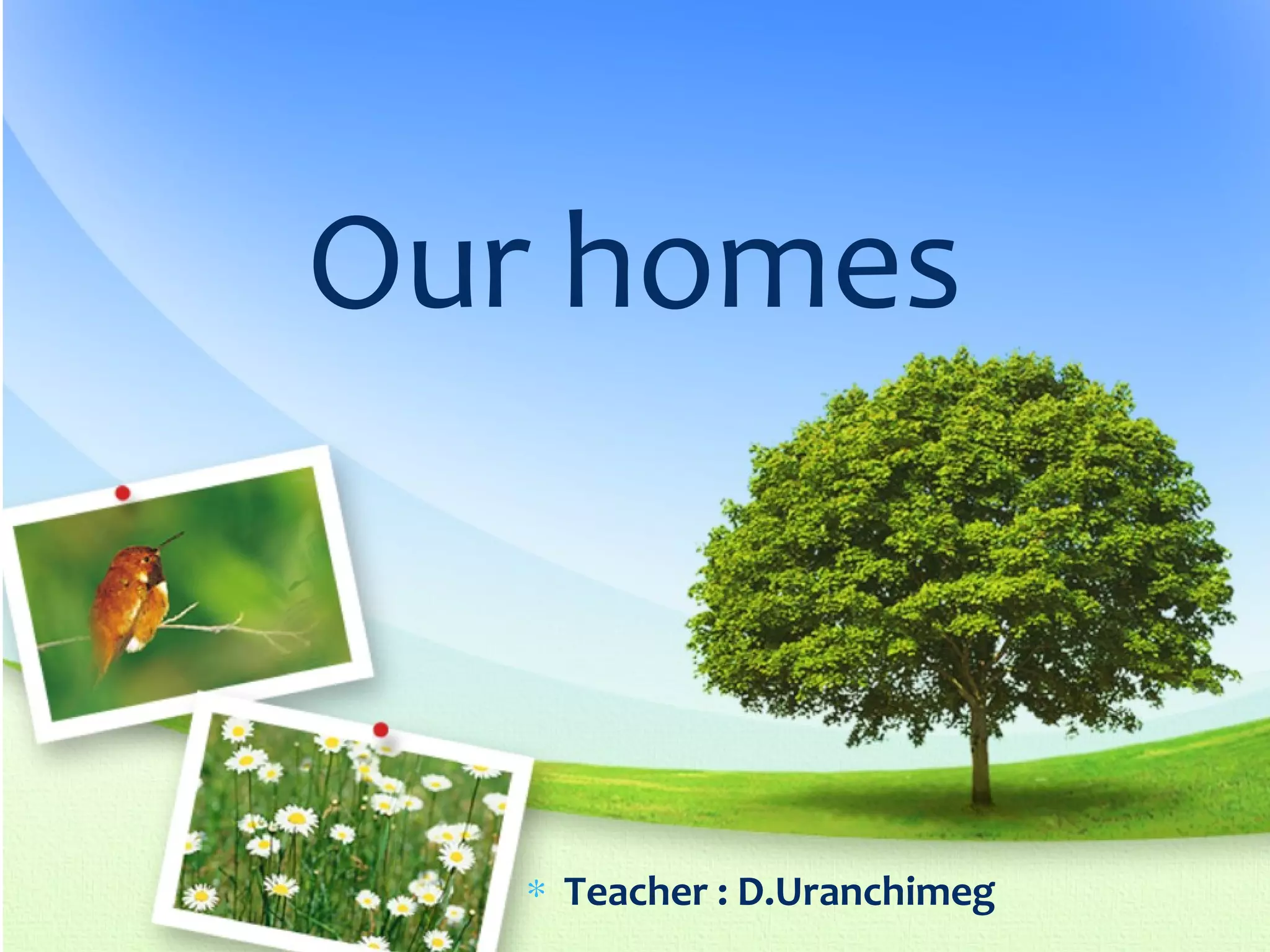 Our homes
∗ Teacher : D.Uranchimeg