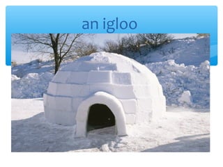 an igloo
