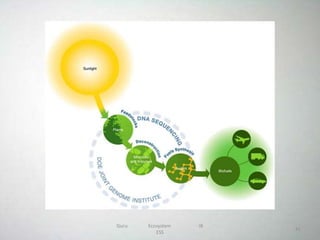 Topic 2 -The Ecosystem Powerpoint | PPTX