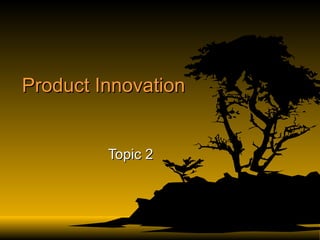 Product Innovation Topic 2 