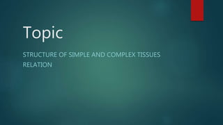 Topic
STRUCTURE OF SIMPLE AND COMPLEX TISSUES
RELATION
 