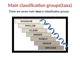 Comprehensive Overview of Biological Classification Systems and ...