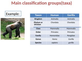 Toponomic Classification System Examples Comprehensive Overview of Biological Classification Systems and ...