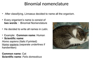 Comprehensive Overview of Biological Classification Systems and ...