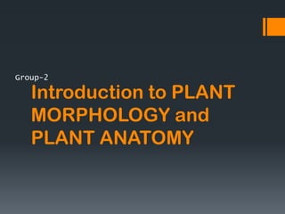 PLANT MORPHOLOGY AND ANATOMY............ | PDF