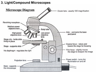 Microscope Diagram 3. Light/Compound Microscopes 