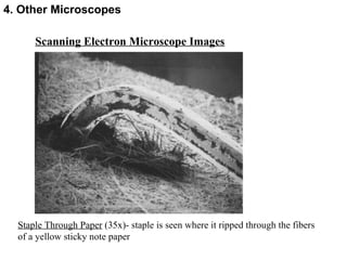 Scanning Electron Microscope Images Staple Through Paper  (35x)- staple is seen where it ripped through the fibers of a yellow sticky note paper  4. Other Microscopes 
