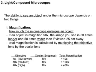 3. Light/Compound Microscopes The  ability to see an object  under the microscope depends on two things: i.  Magnification: how much the microscope enlarges an object . •  If an object is magnified 50x, the image you see is 50 times  longer  and 50 times  wider  than if viewed 25 cm away. •  total magnification is calculated by  multiplying the objective  lens by the ocular lens Objective   Ocular (Eyepiece) Total Magnification 4x  (low power)   10x   = 40x 10x (medium)   10x   = 100x 40x (high)   10x   = 400x 