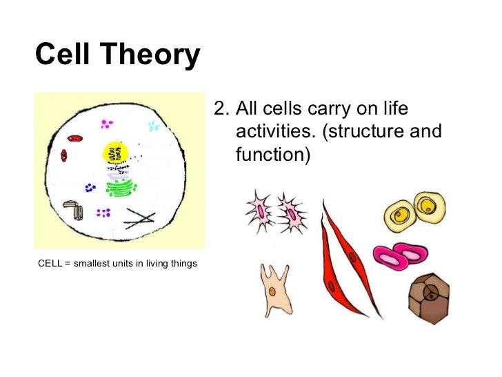 Is Natural Selection A Theory Is Natural Selection A Theory