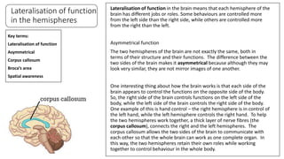 Topic 4 The brain and neuropsychology - how does your brain affect you ...