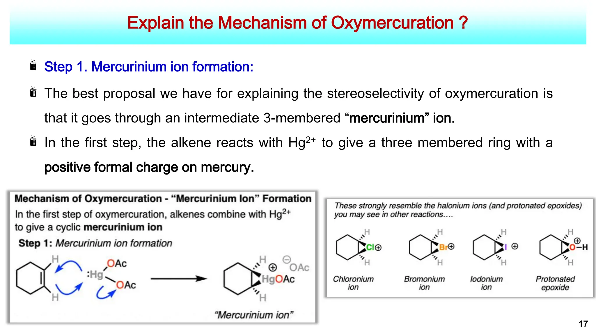 Explain the Mechanism of Oxymercuration ?
17
Step 1. Mercurinium ion formation:
The best proposal we have for explaining the stereoselectivity of oxymercuration is
that it goes through an intermediate 3-membered “mercurinium” ion.
In the first step, the alkene reacts with Hg2+ to give a three membered ring with a
positive formal charge on mercury.
 