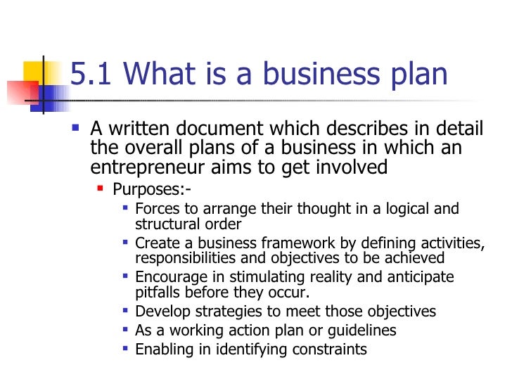 What is the action plan of a business plan