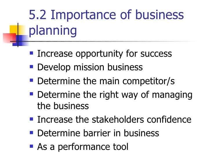 business plan meaning and importance