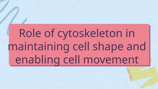 Role of cytoskeleton in
maintaining cell shape and
enabling cell movement
 