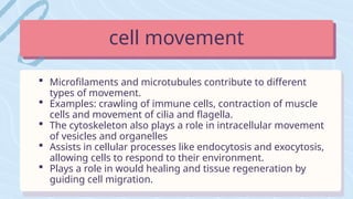  Microfilaments and microtubules contribute to different
types of movement.
 Examples: crawling of immune cells, contraction of muscle
cells and movement of cilia and flagella.
 The cytoskeleton also plays a role in intracellular movement
of vesicles and organelles
 Assists in cellular processes like endocytosis and exocytosis,
allowing cells to respond to their environment.
 Plays a role in would healing and tissue regeneration by
guiding cell migration.
cell movement
 