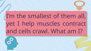I’m the smallest of them all,
yet I help muscles contract
and cells crawl. What am I?
 