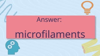 Answer:
microfilaments
 