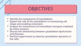  Identify the components of cytoskeleton.
 Explain the role of the cytoskeleton in maintaining cell
shape and enabling movement.
 Analyze the mechanisms of intracellular transport mediated
by motor proteins.
 Discuss the relationship between cytoskeleton dysfunction
and diseases.
 Perform experiments to observe cytoskeleton dynamics in
live cells.
OBJECTIVES
 
