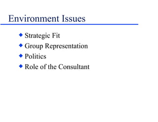 Environment Issues Strategic Fit Group Representation Politics Role of the Consultant 
