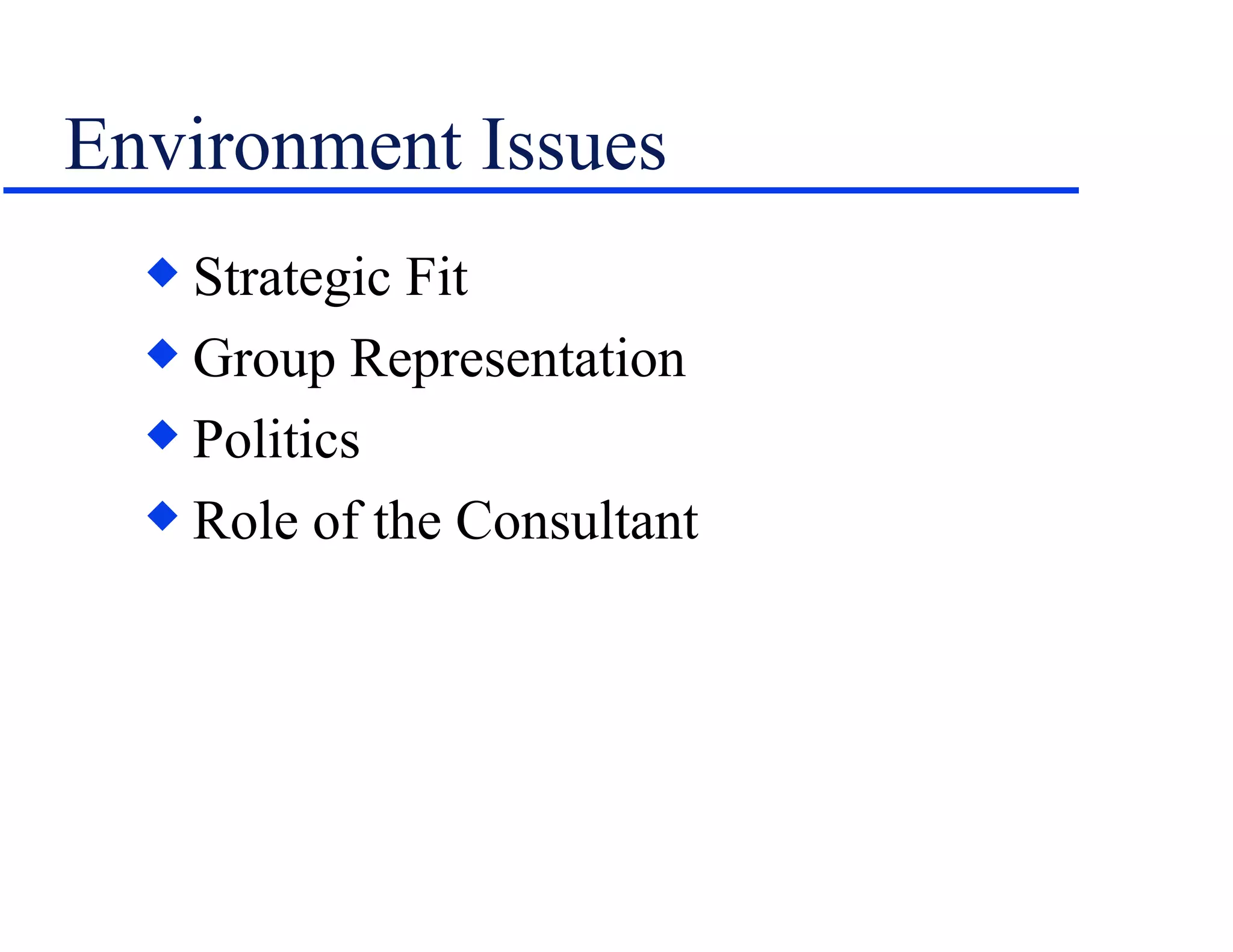 Environment Issues Strategic Fit Group Representation Politics Role of the Consultant 