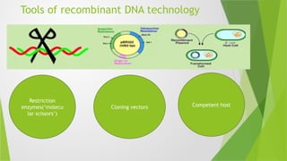 presentation in biotechnology for ug sem | PPTX