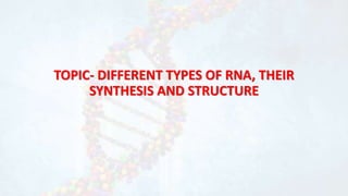 TOPIC- DIFFERENT TYPES OF RNA, THEIR
SYNTHESIS AND STRUCTURE
 
