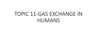 TOPIC 11-GAS EXCHANGE IN
HUMANS
 