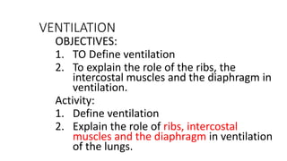 Ventilating Rib TOPIC - GAS EXCHANGE IN HUMANS IGCSE VERY HELPFUL | PPTX