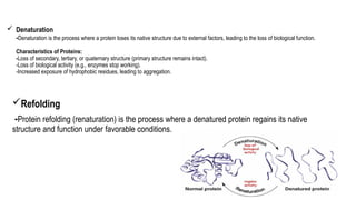 Topic- Stability of Proteins and Nucleic acids-1.pptx