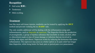 Recognition
 Dull ache( 酸痛 )
 Tenderness
 Mild swelling
Treatment
Just like most soft tissue injuries, tendinitis can be treated by applying the RICE
method and prevent violating the no HARM rule.
The only notable additional will be dealing with the inflammation using anti-
inflammatories, such as ibuprofen or naproxen. The ibuprofen blocks the production
of prostaglandin, a group of lipids(a substance that insoluble in water, alcohol, ether
or chloroform) made at sites of tissue damage or infection that are involved in
dealing with injury and illness. Naproxen works by reducing the hormones that cause
inflammation. The naproxen may pose as a better option as its pain relief last longer
than ibuprofen, while being better for back pain or period pain over paracetamol.
 