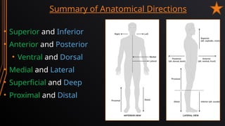 Topic 02 - Anatomical + Directional Terms.pptx