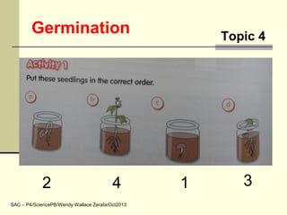 Germination
SAC – P4/SciencePB/Wendy Wallace Zerafa/Oct2013
Topic 4
12 34
 