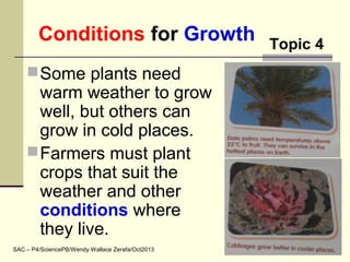 Conditions for Growth
Some plants need
warm weather to grow
well, but others can
grow in cold places.
Farmers must plant
crops that suit the
weather and other
conditions where
they live.
SAC – P4/SciencePB/Wendy Wallace Zerafa/Oct2013
Topic 4
 