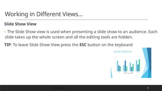 Complete Guide to Microsoft PowerPoint 2019 – Features, Tools, and Tips ...