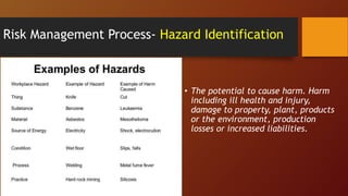 Risk Management Process- Hazard Identification
• The potential to cause harm. Harm
including ill health and injury,
damage to property, plant, products
or the environment, production
losses or increased liabilities.
 