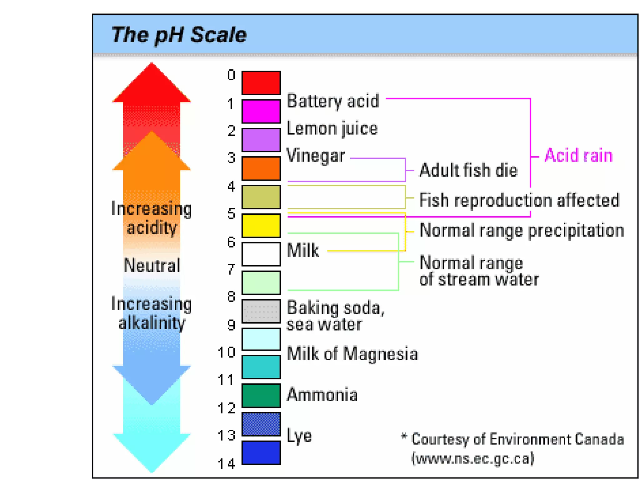 Topic 08   introduction