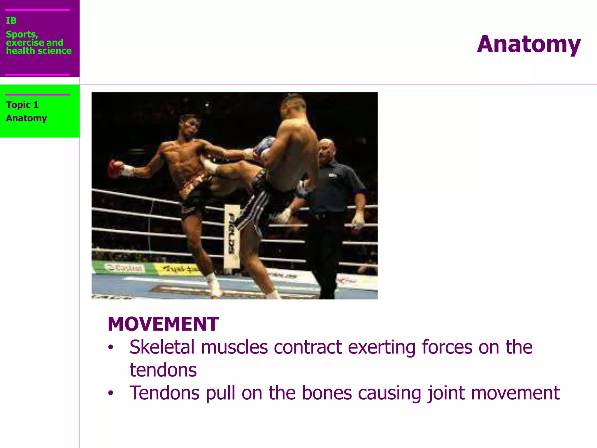 IB
Sports,
exercise and
health science Anatomy
Topic 1
Anatomy MOVE SUBSTANCES
• Cardiac muscle pumps
blood
• Smooth muscle moves
food in the GI tract
 